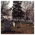 Laurel Hill Cemetery