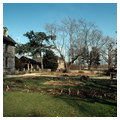 John Bartram House