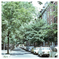 200 Block of Delancey Street