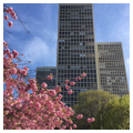 Photo 4 of Society Hill Towers