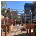 Photo 12 of Franklin Court