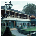 The Casino