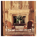 Salon fireplace