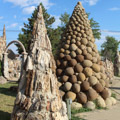 Photo 5 of Petrified Wood Park