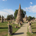 Photo 6 of Petrified Wood Park