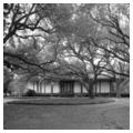 Photo 2 of Daphne and Louis Letzerich Jr. Ranch House