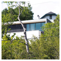 Photo 2 of Dr. Thomas M. Cranfill House