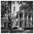 Photo 2 of “The Oaks”