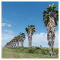 Photo 2 of Santa Ana National Wildlife Refuge