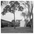 Photo 2 of University of St. Thomas