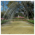 Photo 2 of Bayou Bend Collection and Gardens, Museum of Fine Arts, Houston