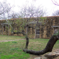 Photo 10 of San José y San Miguel de Aguayo