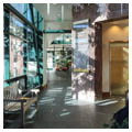 Photo 3 of Red Butte Garden Visitor Center