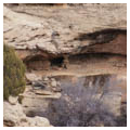 Granary and water deposit