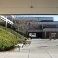 Connecting courtyards