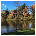 The Dell (CH31.4)