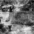 Photo 6 of Doggett House