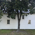 Photo 4 of White Oak Primitive Baptist Church