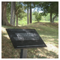 Photo 6 of Jamestown Island