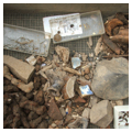 Archaeological remains, 2010