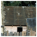 Photo 12 of Carter's Grove