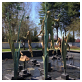 Fountain of Faith