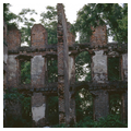 Rosewell