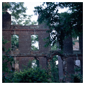 Rosewell