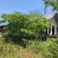 C&O Freight Depot (former)