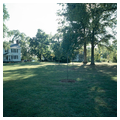 Tuckahoe