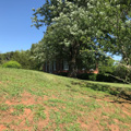 Photo 3 of William Walker House