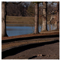 Byrd Park (New Reservoir Park)