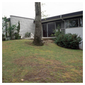 Rice House
