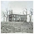 Wilton