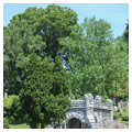 Photo 4 of Thornrose Cemetery and Gatehouse