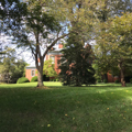 Henry Harrison Lewis House