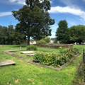 Photo 2 of Old City Cemetery