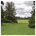 Photo 4 of Blandy Experimental Farm
