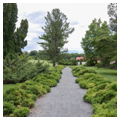 Photo 5 of Blandy Experimental Farm