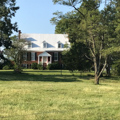 Photo 3 of Shady Grove