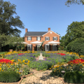 Parterre garden