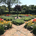 Parterre garden
