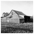 Barn