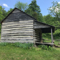 Cabin