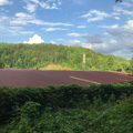 Photo 8 of The Soapstone Factory