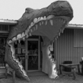 Photo 2 of Luray Zoo