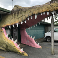 Photo 3 of Luray Zoo