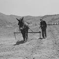 Photo 18 of Ida Resettlement Community