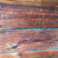 Clark and Minnie Taylor House, Clark Taylor name inside storage shed