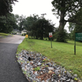 Roadway to cottages